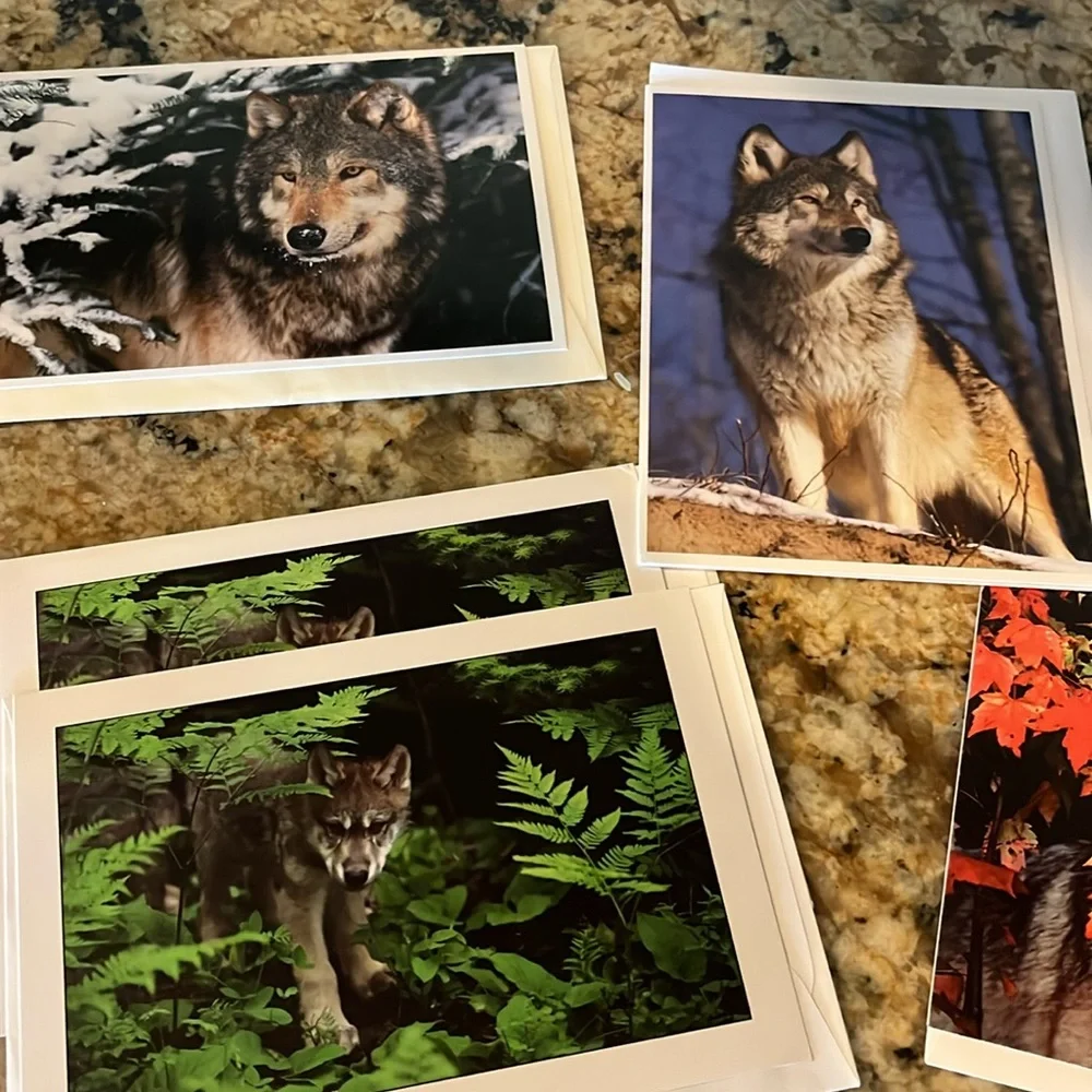 Wolf Themed Greeting Cards Set
